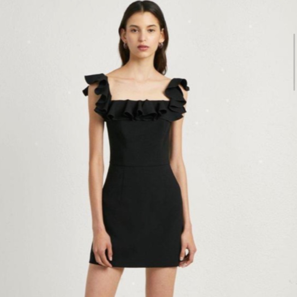 Ruffle Mini Dress NWT